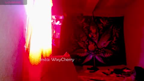 cherrywix online show from November 2025 02:10:01 PM