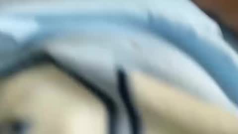 Snapshot of chico18cm5 chatting on January 2025 03:00:01 PM domenic online show from January 2025 03:00:01 PM