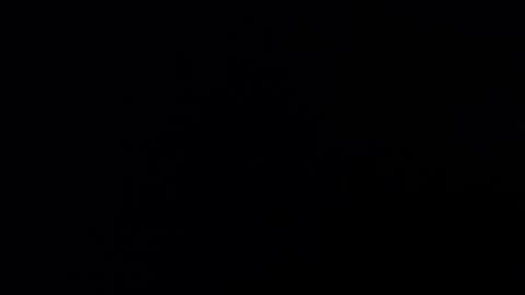 chico93ibz online show from March 2025 03:30:01 AM