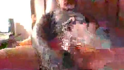 Snapshot of chikoink43 chatting on December 2024 05:22:02 AM chikoink43 online show from December 2024 05:22:02 AM