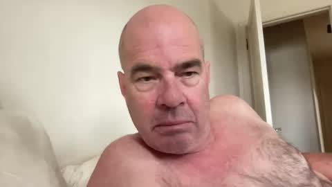 chillpuppy online show from October 2025 06:27:02 PM