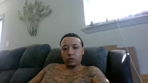 CHINO online show from September 2025 02:51:01 PM