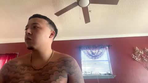 CHINO online show from February 2026 03:39:01 PM