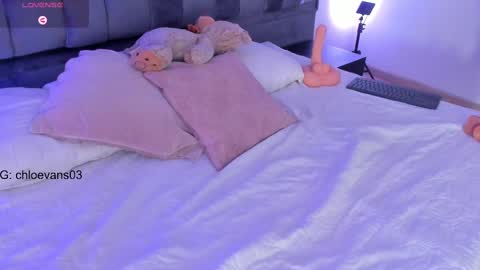 Snapshot of chloe__evans_ chatting on February 2025 02:36:01 PM Chloe online show from February 2025 02:36:01 PM