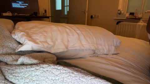 chocolatebunnycakez online show from November 2025 12:32:01 AM