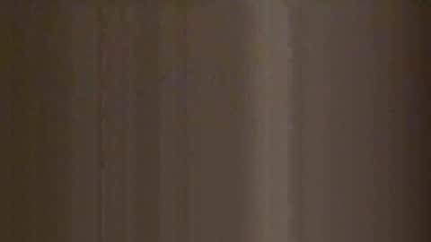 Chocolate Delight online show from January 2026 03:16:01 PM