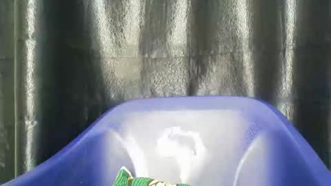 Snapshot of chocoslut22 chatting on December 2025 03:45:02 AM chocoslut22 online show from December 2025 03:45:02 AM