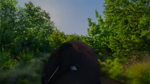 Snapshot of chris2024x chatting on November 2025 07:51:01 AM Christian online show from November 2025 07:51:01 AM