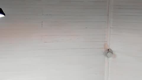 Snapshot of chris_macgregoor chatting on December 2024 05:37:01 AM Chriz online show from December 2024 05:37:01 AM