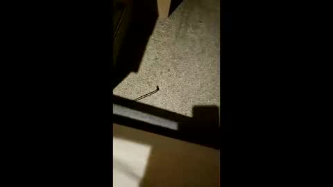 Snapshot of chrisgogo121 chatting on November 2025 10:26:01 PM chrisgogo121 online show from November 2025 10:26:01 PM