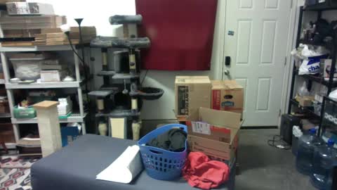 Chris online show from December 2024 05:49:02 AM