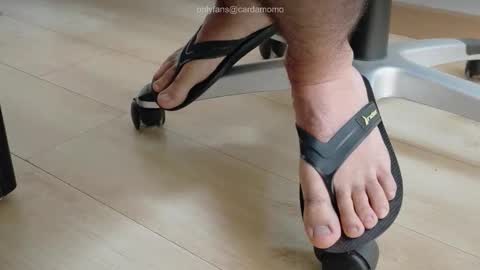 Cardamomo online show from February 2026 01:47:01 PM