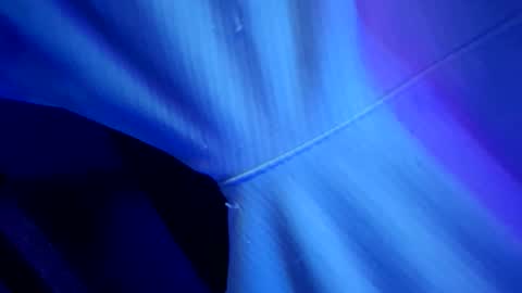 Snapshot of chronicvibez chatting on March 2026 12:56:02 AM chronicvibez online show from March 2026 12:56:02 AM