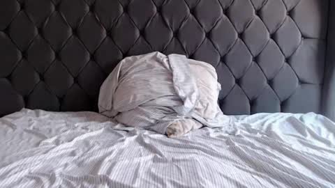 Snapshot of chubbydays chatting on April 2026 07:34:02 PM chubbydays online show from April 2026 07:34:02 PM