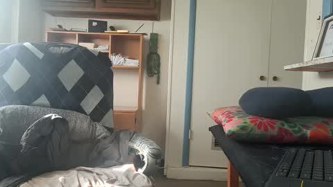 chuck7891 online show from October 2025 02:50:02 PM