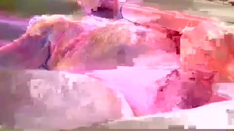 Snapshot of chummy50222 chatting on December 2024 04:14:02 AM chummy50222 online show from December 2024 04:14:02 AM