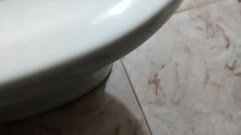 Snapshot of ciccilli chatting on October 2025 08:29:02 PM ciccilli online show from October 2025 08:29:02 PM