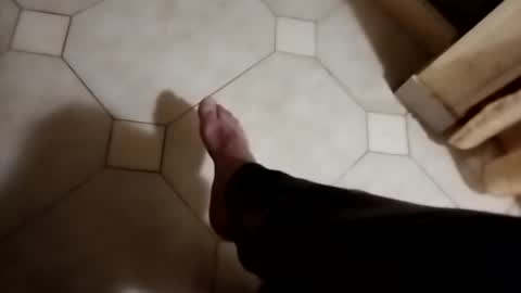 ciccilli online show from November 2025 11:49:02 PM