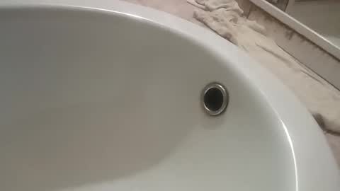 ciccilli online show from November 2025 10:08:02 PM