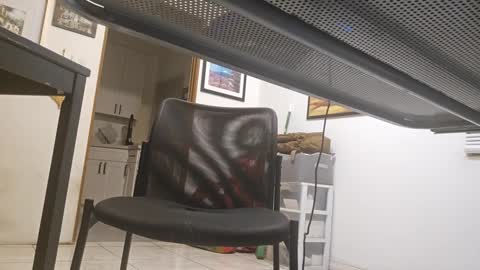 Snapshot of cigneska1 chatting on March 2025 03:32:02 AM cigneska1 online show from March 2025 03:32:02 AM