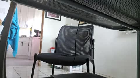 Snapshot of cigneska1 chatting on September 2025 04:18:01 PM cigneska1 online show from September 2025 04:18:01 PM