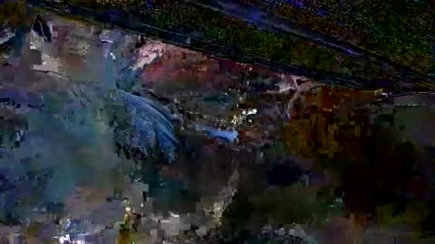 Snapshot of cigneska1 chatting on October 2025 03:34:01 AM cigneska1 online show from October 2025 03:34:01 AM