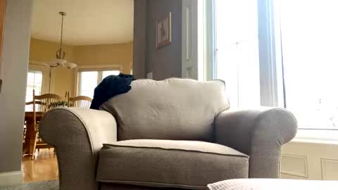 Snapshot of cinapw chatting on December 2024 03:53:01 PM cinapw online show from December 2024 03:53:01 PM