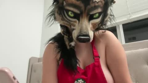 Snapshot of cinnanicos chatting on September 2025 04:23:01 AM Nicky online show from September 2025 04:23:01 AM