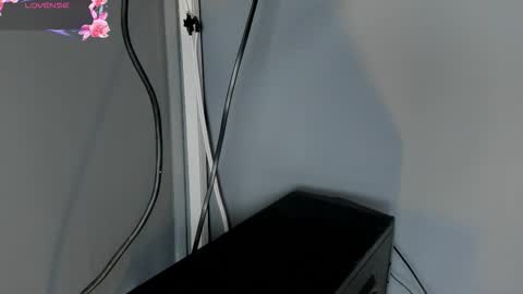 Cintia online show from November 2025 12:04:02 PM