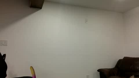 Clarke Cock online show from March 2026 11:15:02 AM