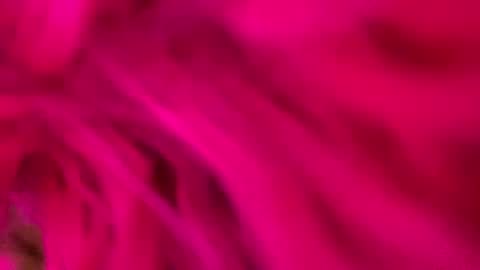 Snapshot of clarkshammer95 chatting on March 2025 09:26:02 PM clarkshammer95 online show from March 2025 09:26:02 PM