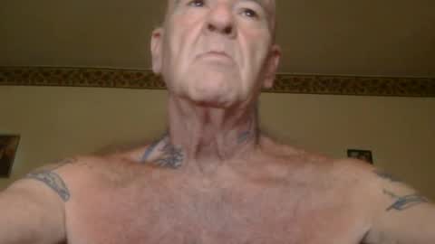 Pizza online show from June 2026 11:26:01 AM