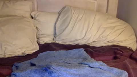 Snapshot of cleanuponaisle2 chatting on February 2025 03:11:02 AM Anon online show from February 2025 03:11:02 AM