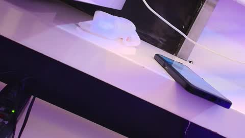 Cleo Adams online show from January 2025 07:51:02 AM