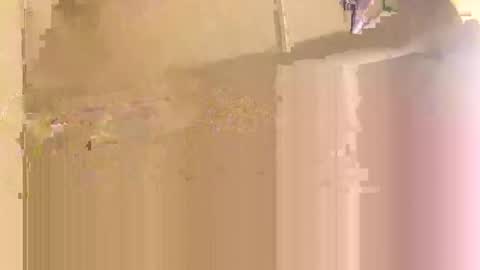 co23456 online show from December 2025 06:54:02 AM