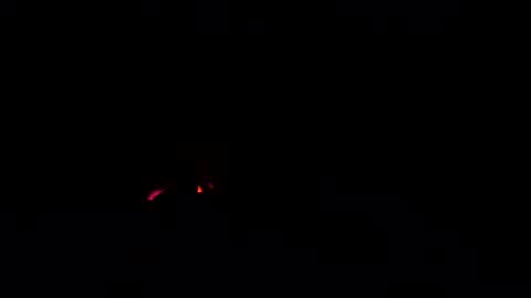 cockdoctor11 online show from October 2025 04:25:02 PM