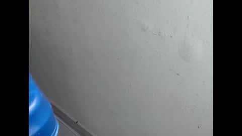 Snapshot of cockfanx chatting on February 2025 01:55:02 PM cockfanx online show from February 2025 01:55:02 PM