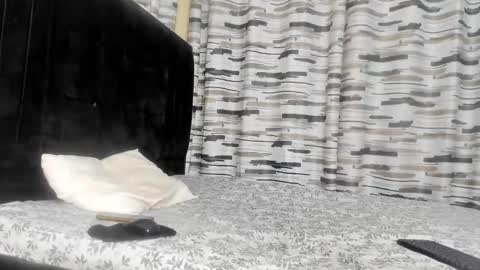 Snapshot of coco_leila chatting on January 2025 04:47:01 AM coco_leila online show from January 2025 04:47:01 AM