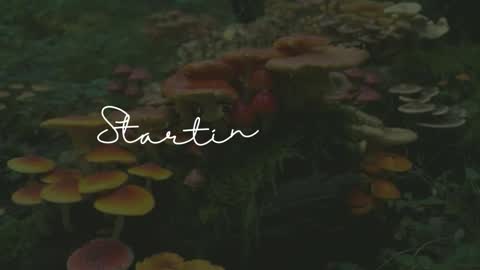 Sunnye Daze online show from March 2026 03:11:02 AM