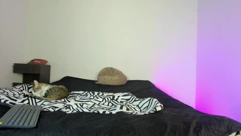 cody online show from November 2025 01:49:02 PM