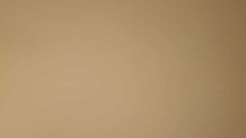 color233 online show from November 2025 12:22:02 AM