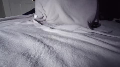 Snapshot of completomuscular chatting on October 2025 07:09:02 PM completomuscular online show from October 2025 07:09:02 PM