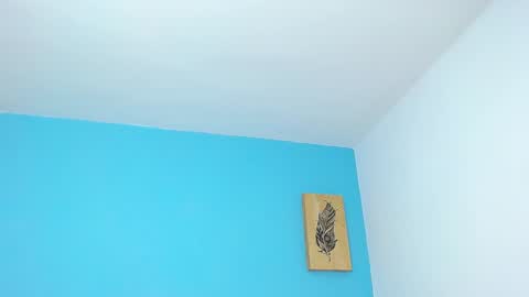 Snapshot of connor_garrett chatting on December 2024 01:03:01 PM Connor online show from December 2024 01:03:01 PM