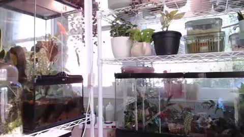 Snapshot of constantcumquest chatting on October 2025 04:37:02 PM ANR Mommy online show from October 2025 04:37:02 PM