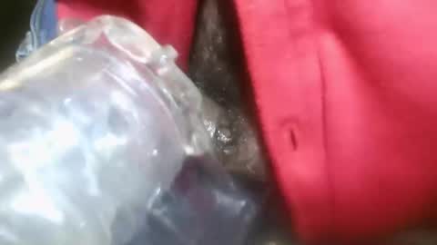 Snapshot of constructorcock chatting on January 2025 10:45:02 PM bearded hairy pits big brown cock online show from January 2025 10:45:02 PM