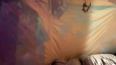 coochiechakrahealer online show from December 2024 09:48:02 AM