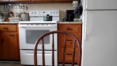 Snapshot of cooldude5432 chatting on February 2025 07:59:02 PM Cool Dude online show from February 2025 07:59:02 PM