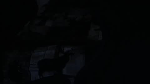 Snapshot of cooley77701 chatting on February 2026 10:42:01 AM cooley77701 online show from February 2026 10:42:01 AM