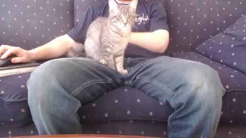 copper_crotch online show from February 2026 10:28:01 PM