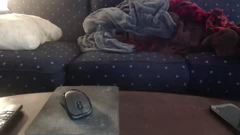 copper_crotch online show from March 2026 01:43:01 AM